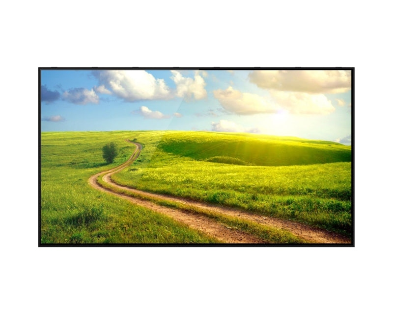55" PROFESSIONAL MONITOR