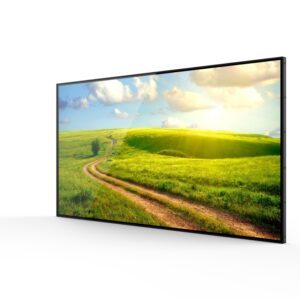 Professional Monitors