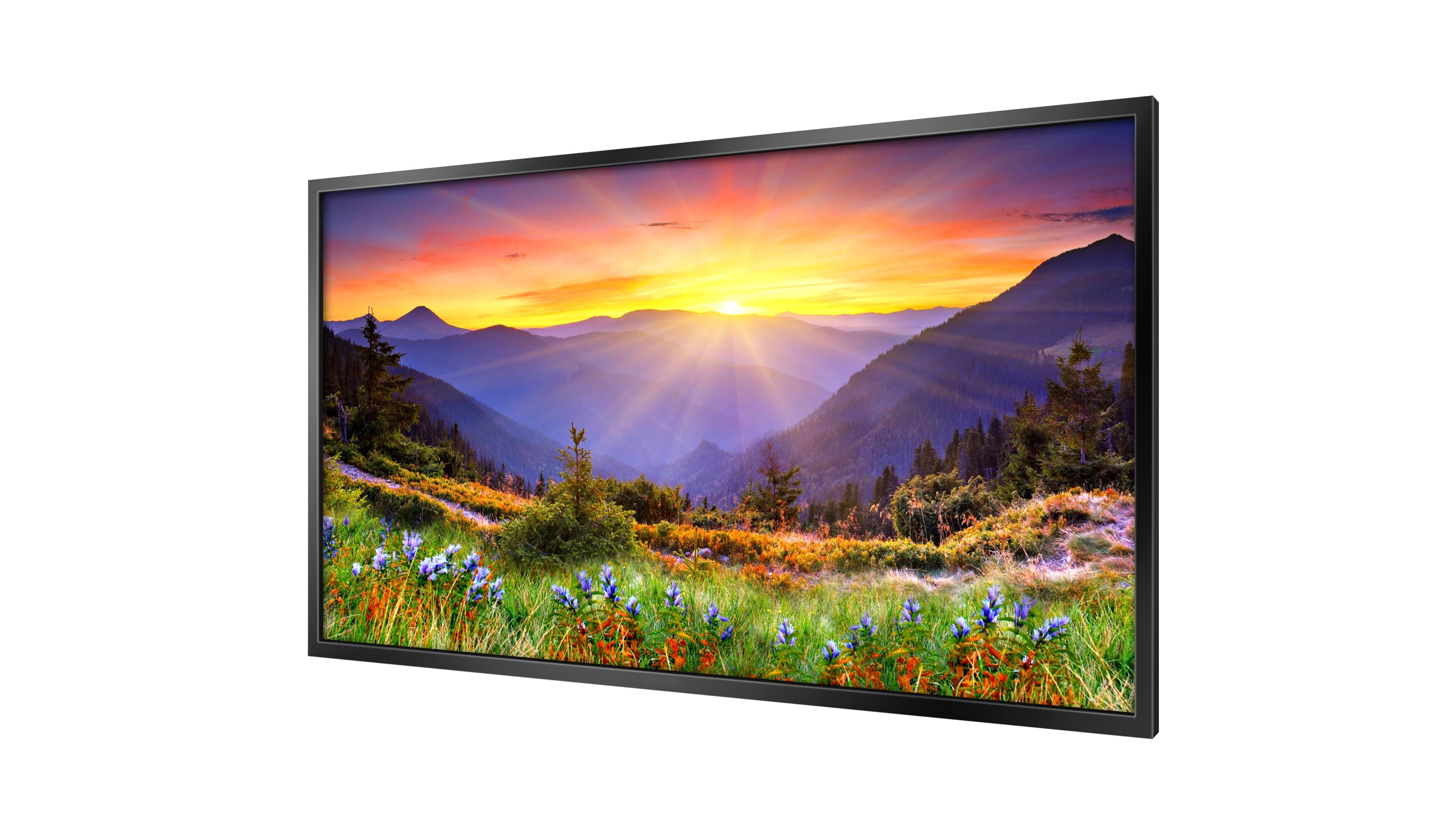 HB32C 32" HIGH BRIGHTNESS PROFESSIONAL MONITOR